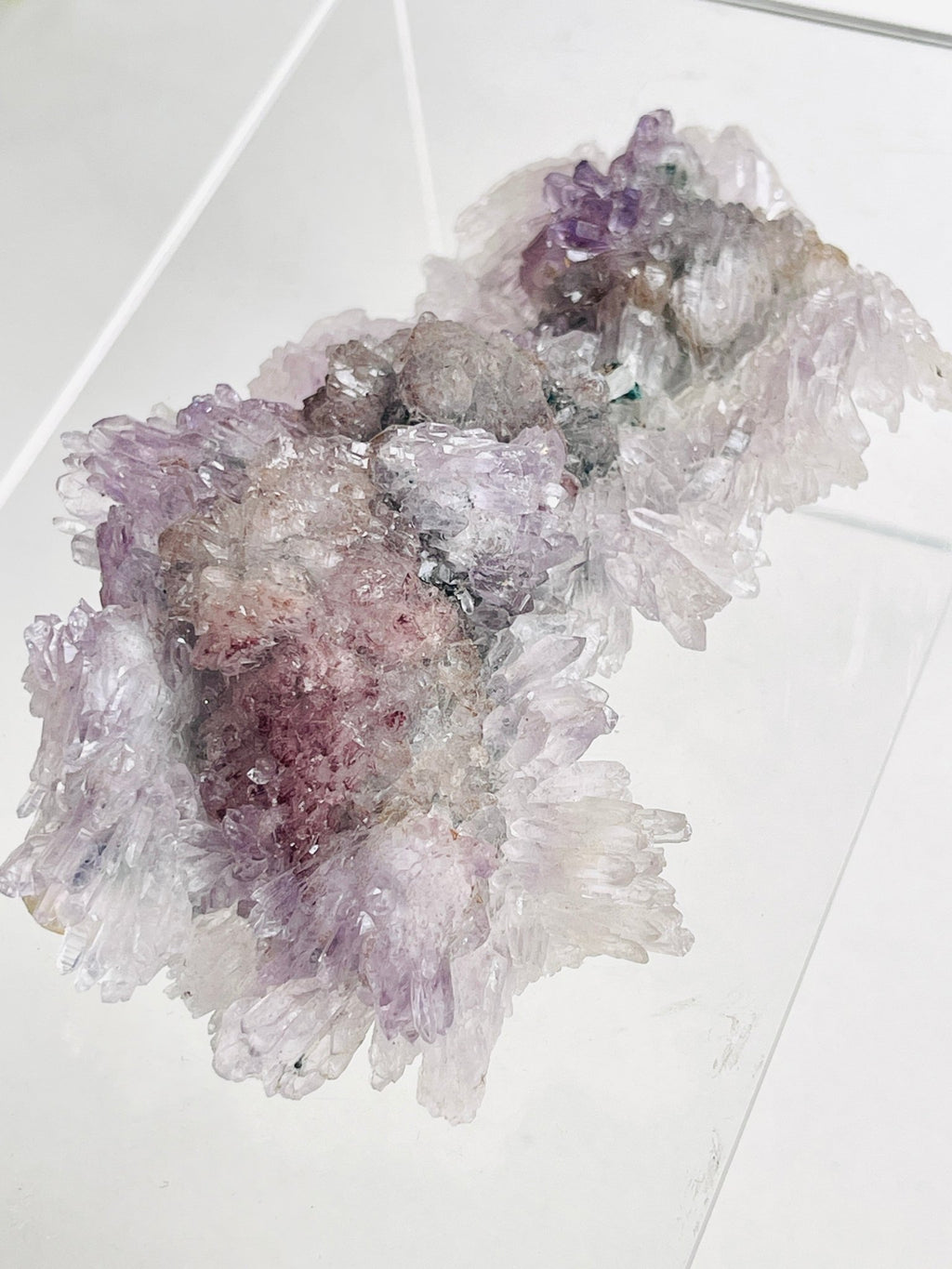 Rare Intact Amethyst "Flower" Formation | Delicate Brazilian Mineral Specimen - Million Years Crystal