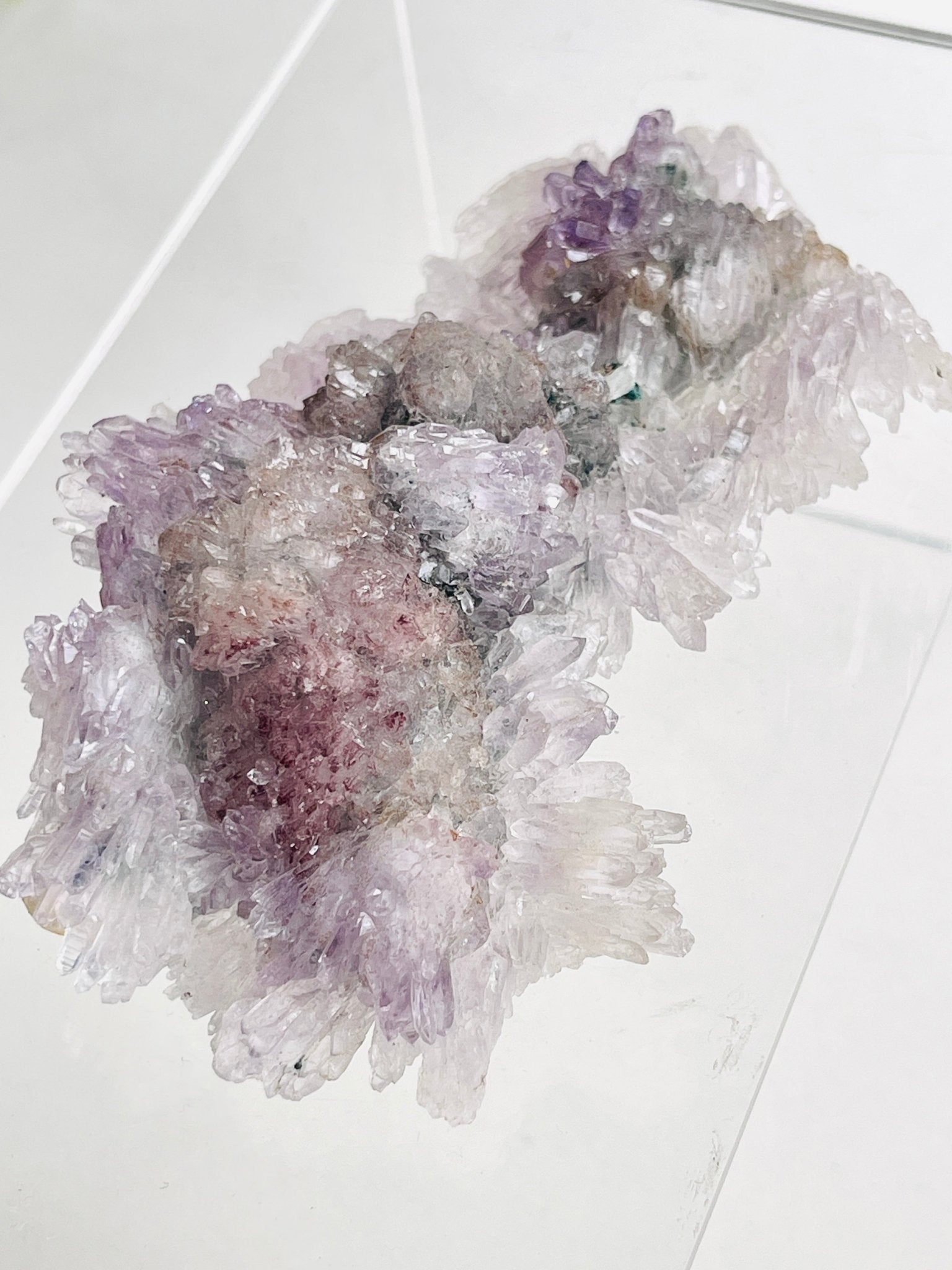 Rare Intact Amethyst "Flower" Formation | Delicate Brazilian Mineral Specimen - Million Years Crystal