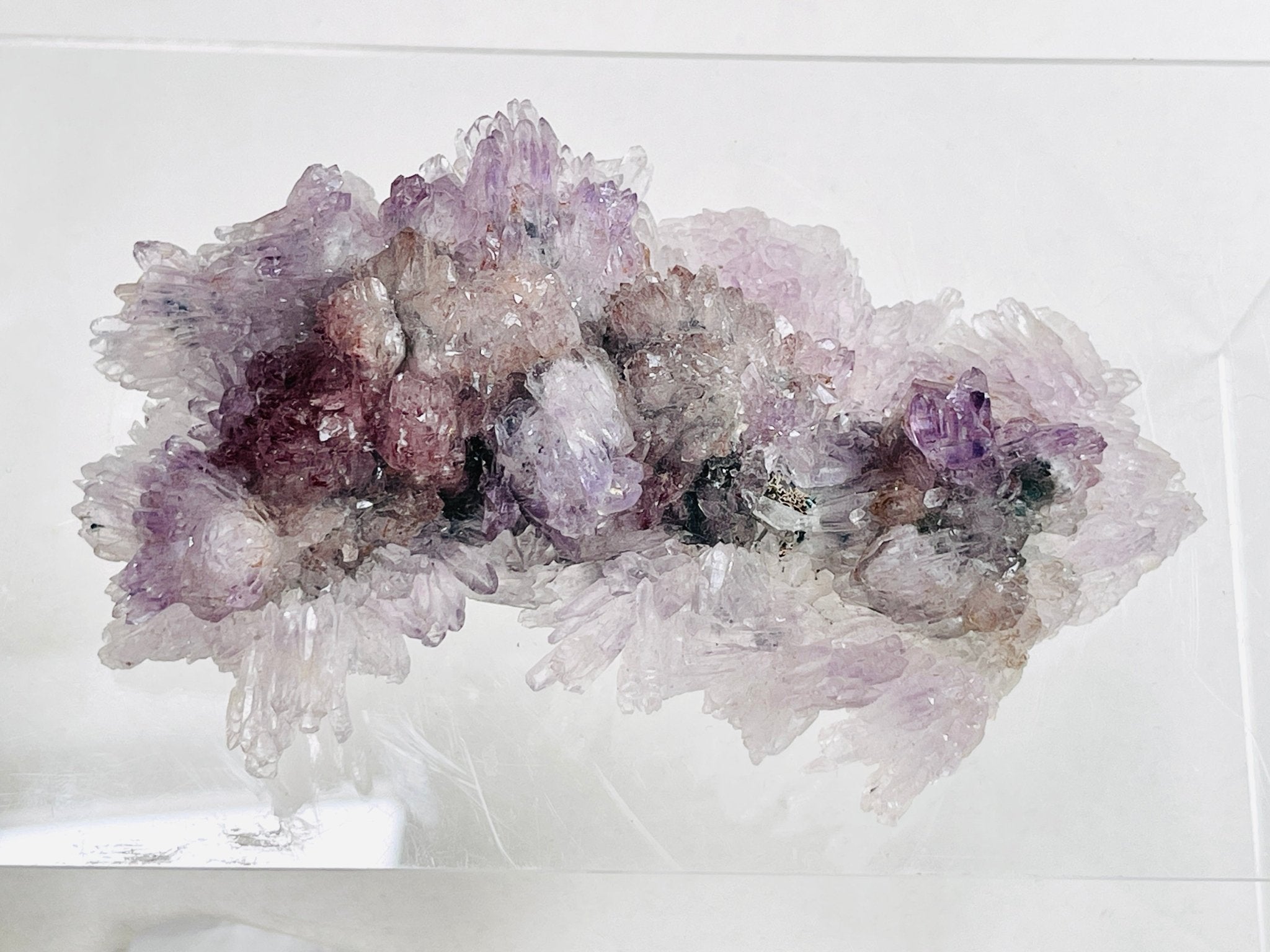 Rare Intact Amethyst "Flower" Formation | Delicate Brazilian Mineral Specimen - Million Years Crystal