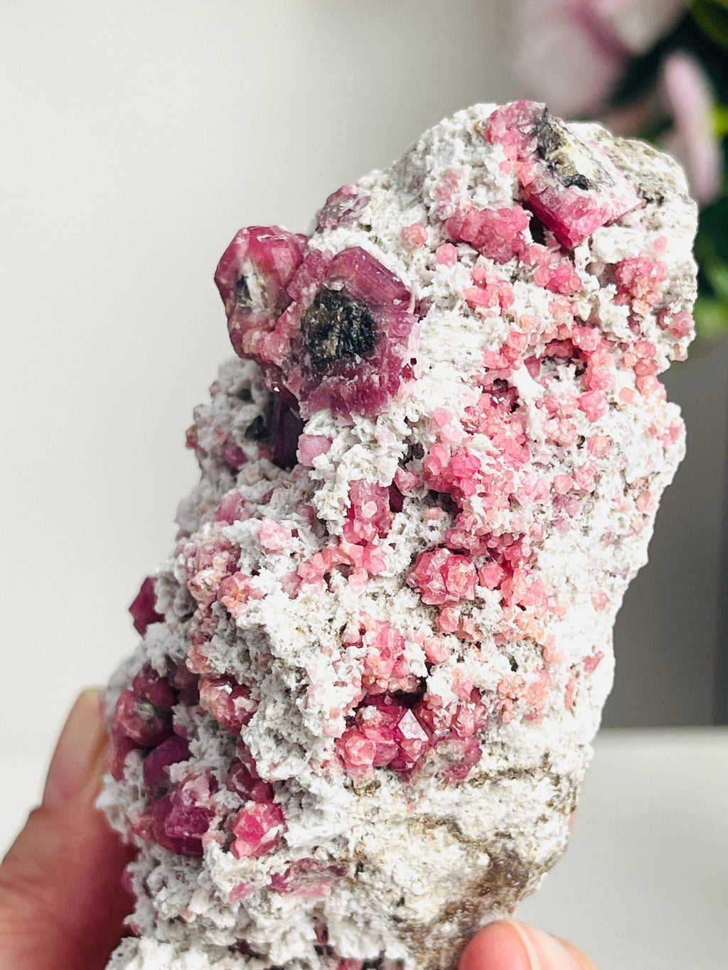 Rare Raspberry Pink Garnet Specimen | Closed Mine | Coahuila, Mexico (277g) - Million Years Crystal