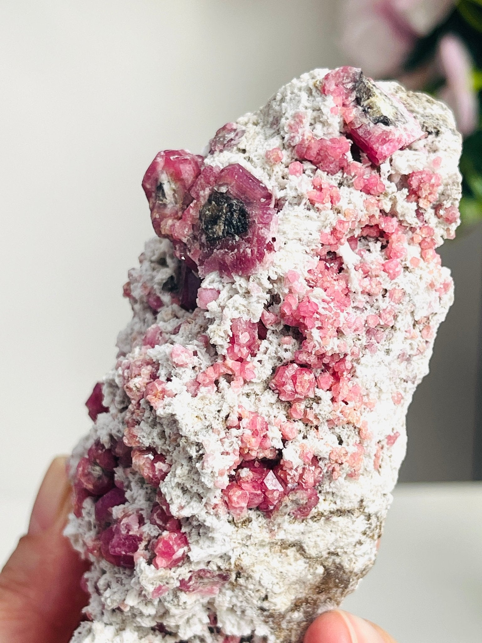 Rare Raspberry Pink Garnet Specimen | Closed Mine | Coahuila, Mexico (277g) - Million Years Crystal