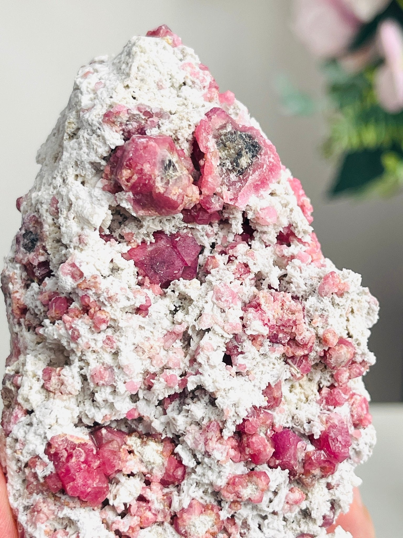 Rare Raspberry Pink Garnet Specimen | Closed Mine | Coahuila, Mexico (277g) - Million Years Crystal