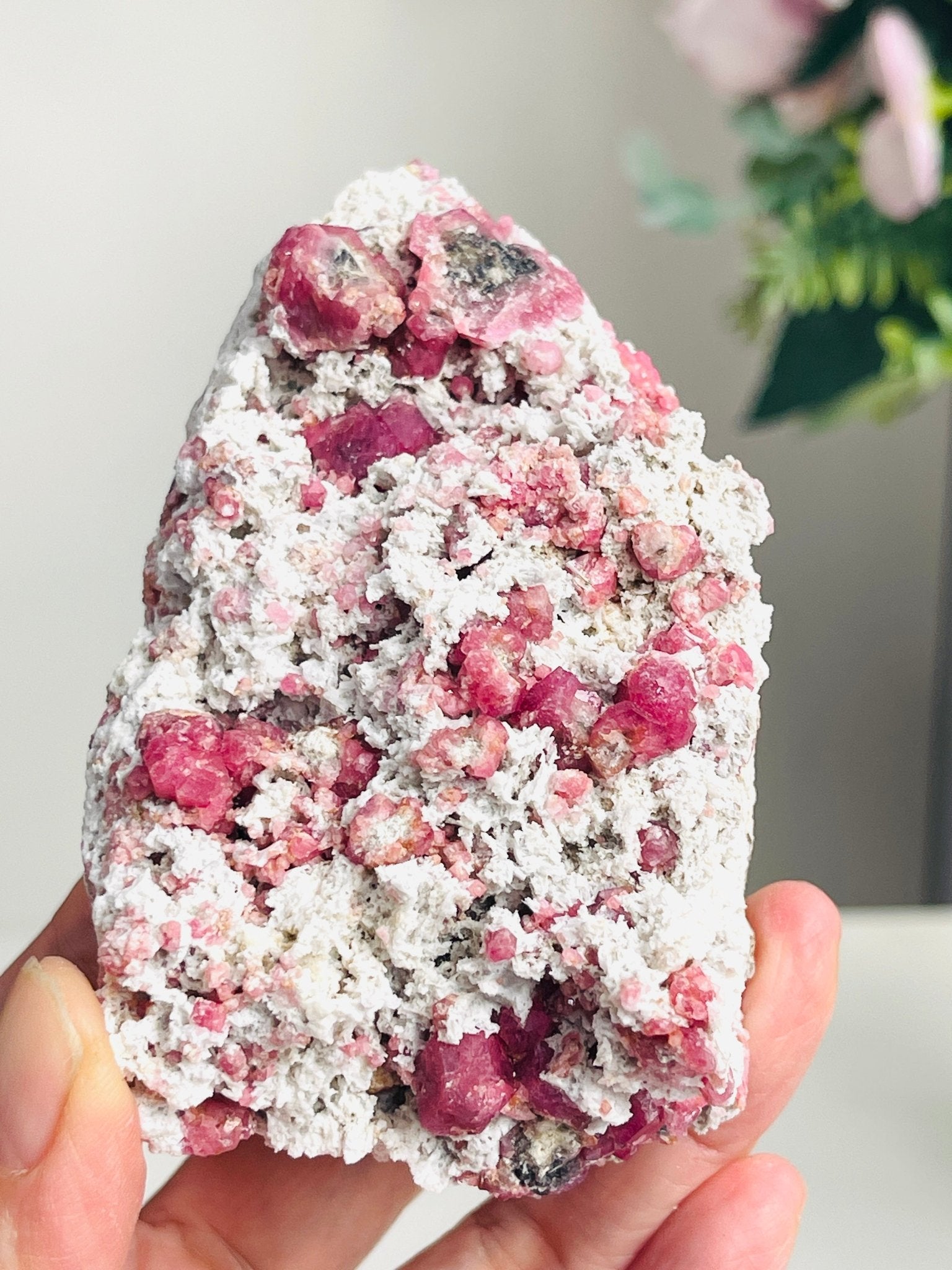 Rare Raspberry Pink Garnet Specimen | Closed Mine | Coahuila, Mexico (277g) - Million Years Crystal