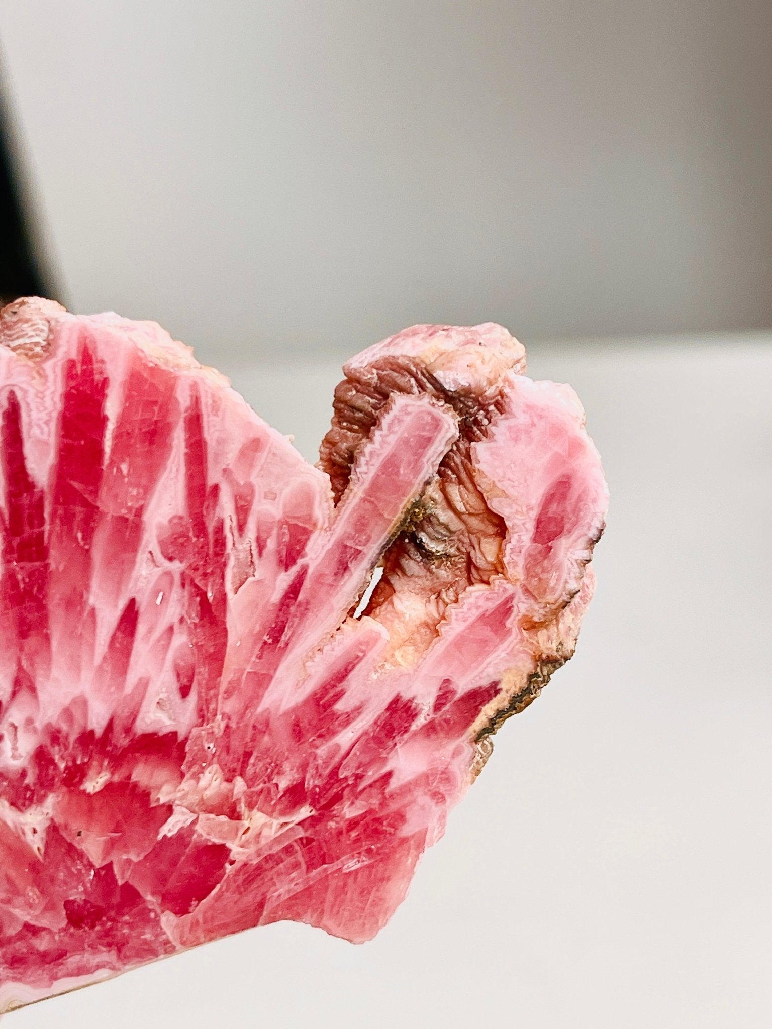 Rare Rhodochrosite Slab – Argentine Fire Pattern Crystal Display Piece - Million Years Crystal