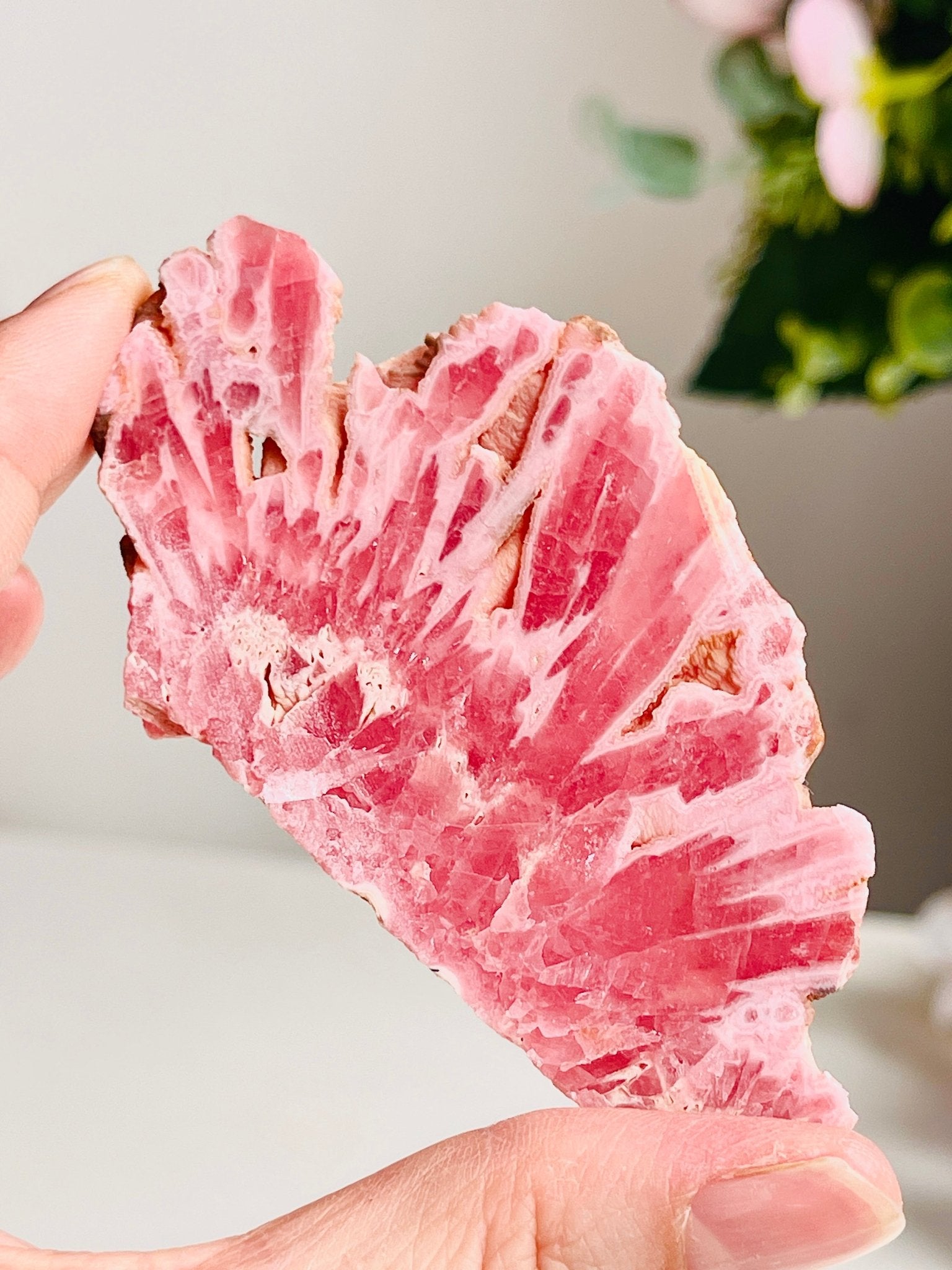 Rare Rhodochrosite Slab – Argentine Fire Pattern Crystal Display Piece - Million Years Crystal