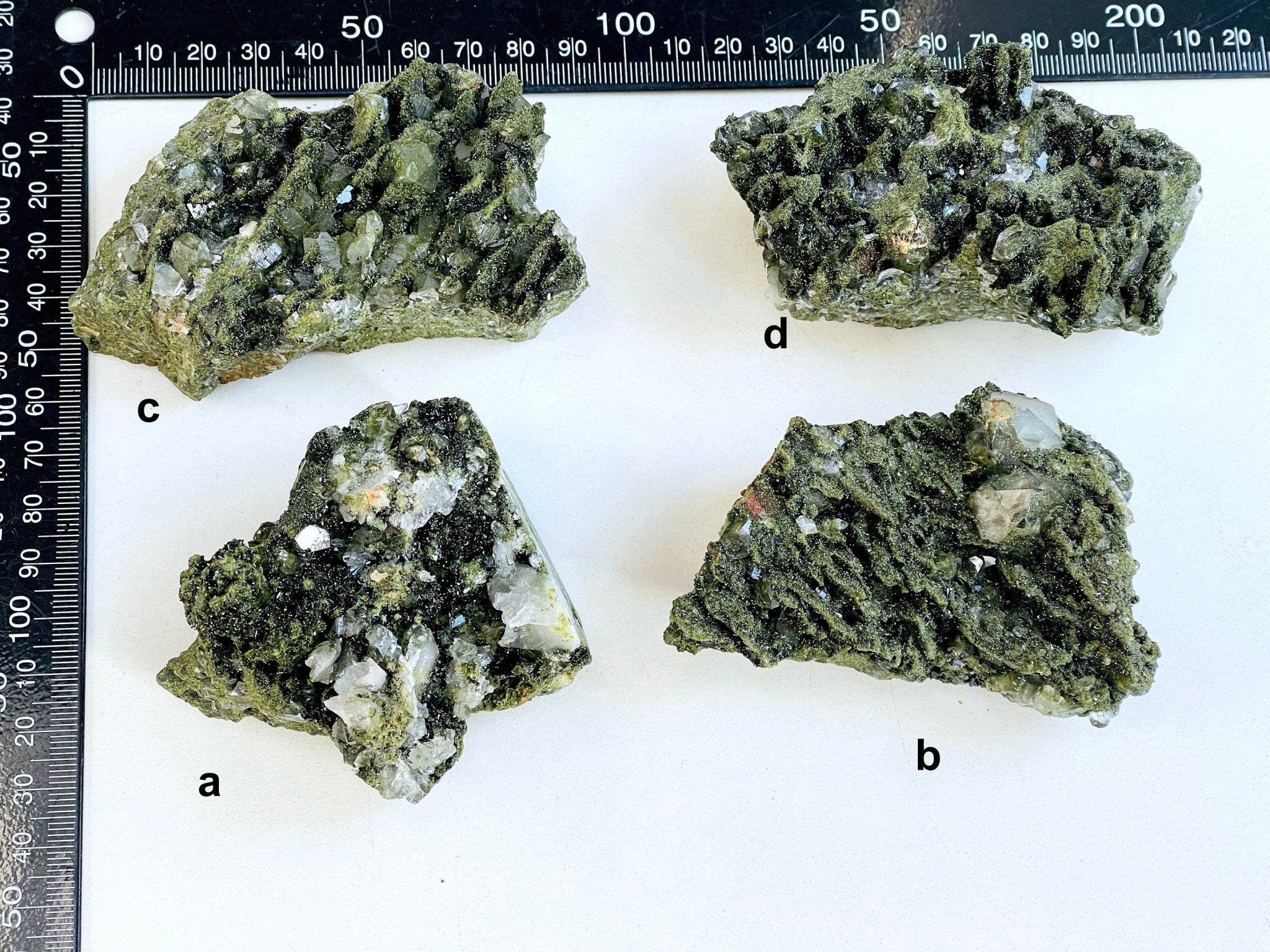 Super Sparkly Forest Epidote with Quartz Specimen, Epidote Specimen, Crystal Gift, Mineral Collection- 6 - Million Years Crystal