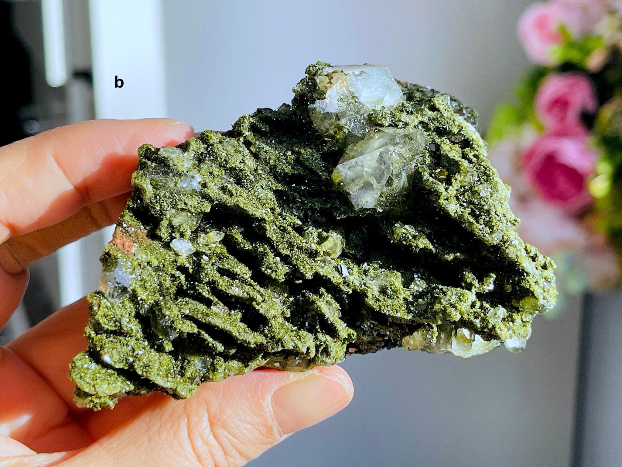 Super Sparkly Forest Epidote with Quartz Specimen, Epidote Specimen, Crystal Gift, Mineral Collection- 6 - Million Years Crystal