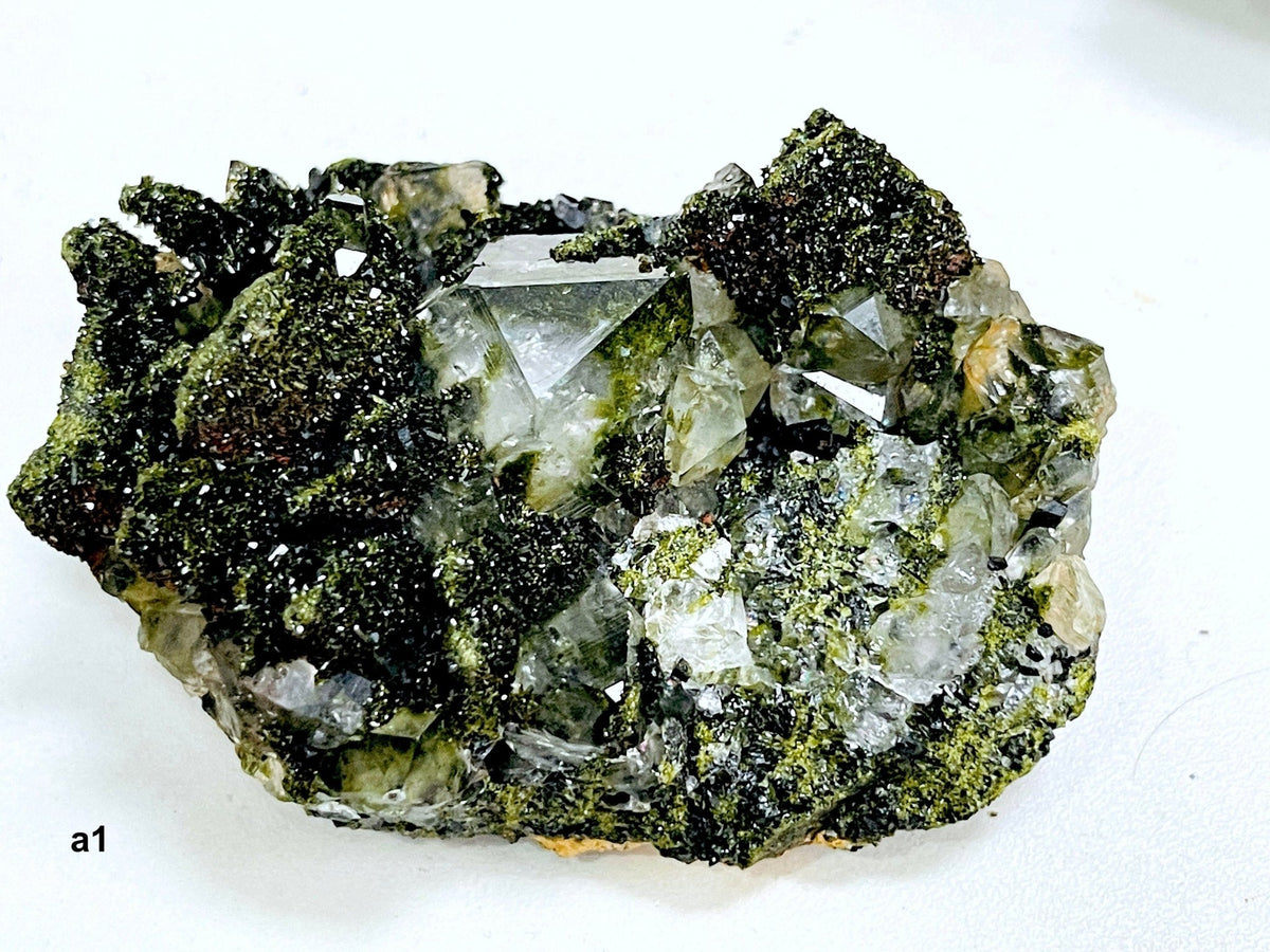 Super Sparkly Forest Epidote with Quartz Specimen, Forest Quartz - Million Years Crystal