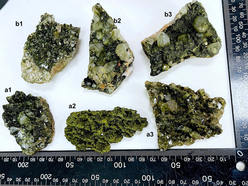 Super Sparkly Forest Epidote with Quartz Specimen, Forest Quartz - Million Years Crystal