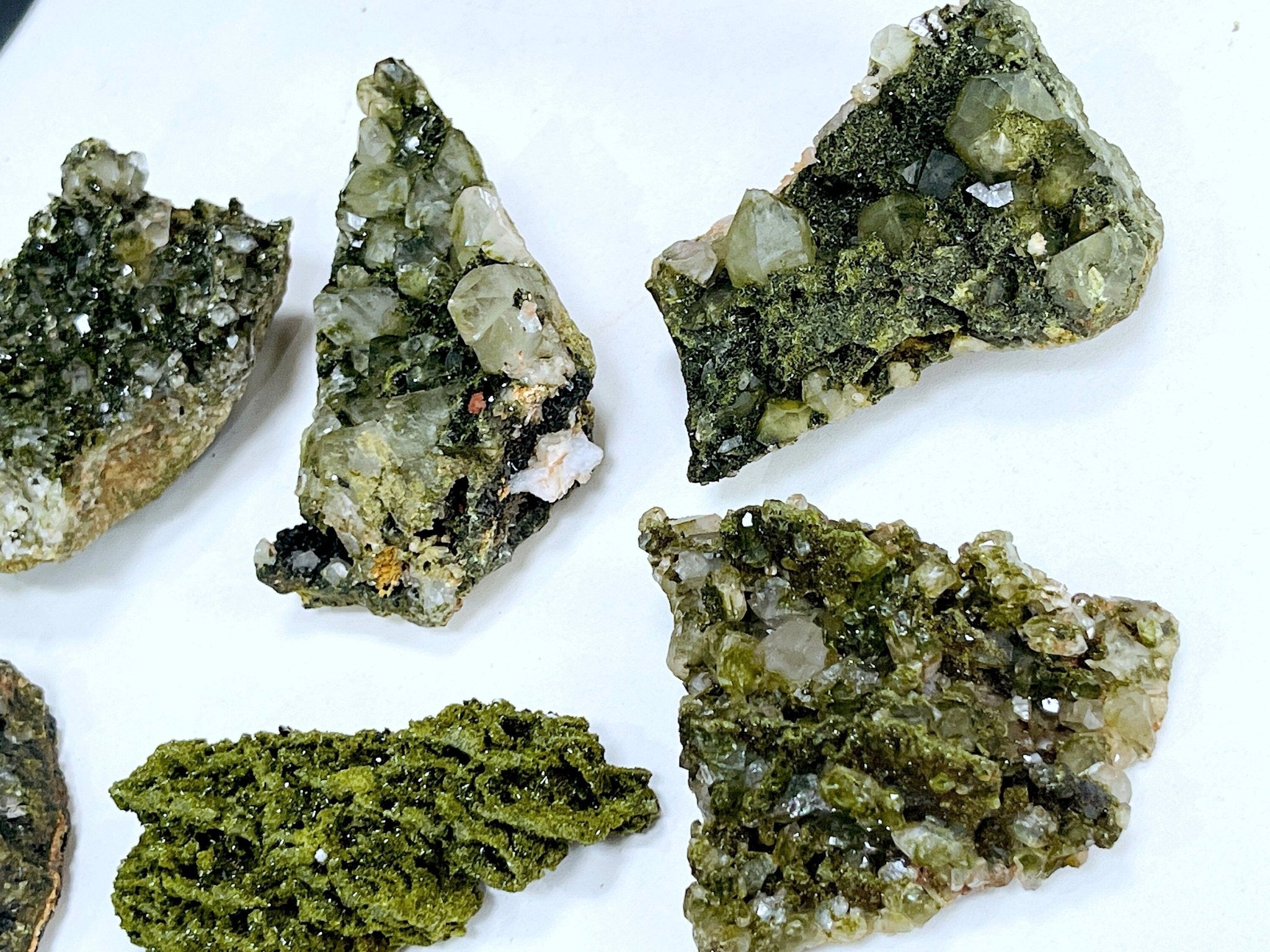 Super Sparkly Forest Epidote with Quartz Specimen, Forest Quartz - Million Years Crystal
