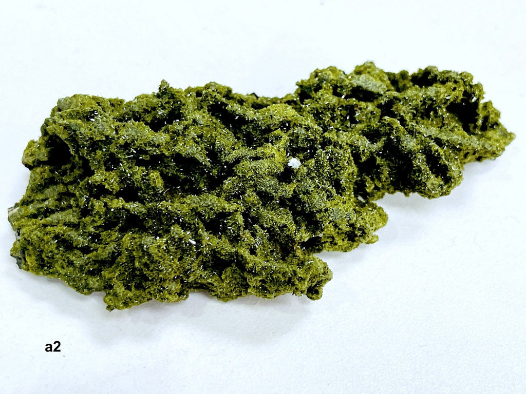 Super Sparkly Forest Epidote with Quartz Specimen, Forest Quartz - Million Years Crystal
