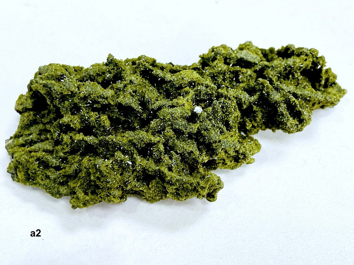 Super Sparkly Forest Epidote with Quartz Specimen, Forest Quartz - Million Years Crystal
