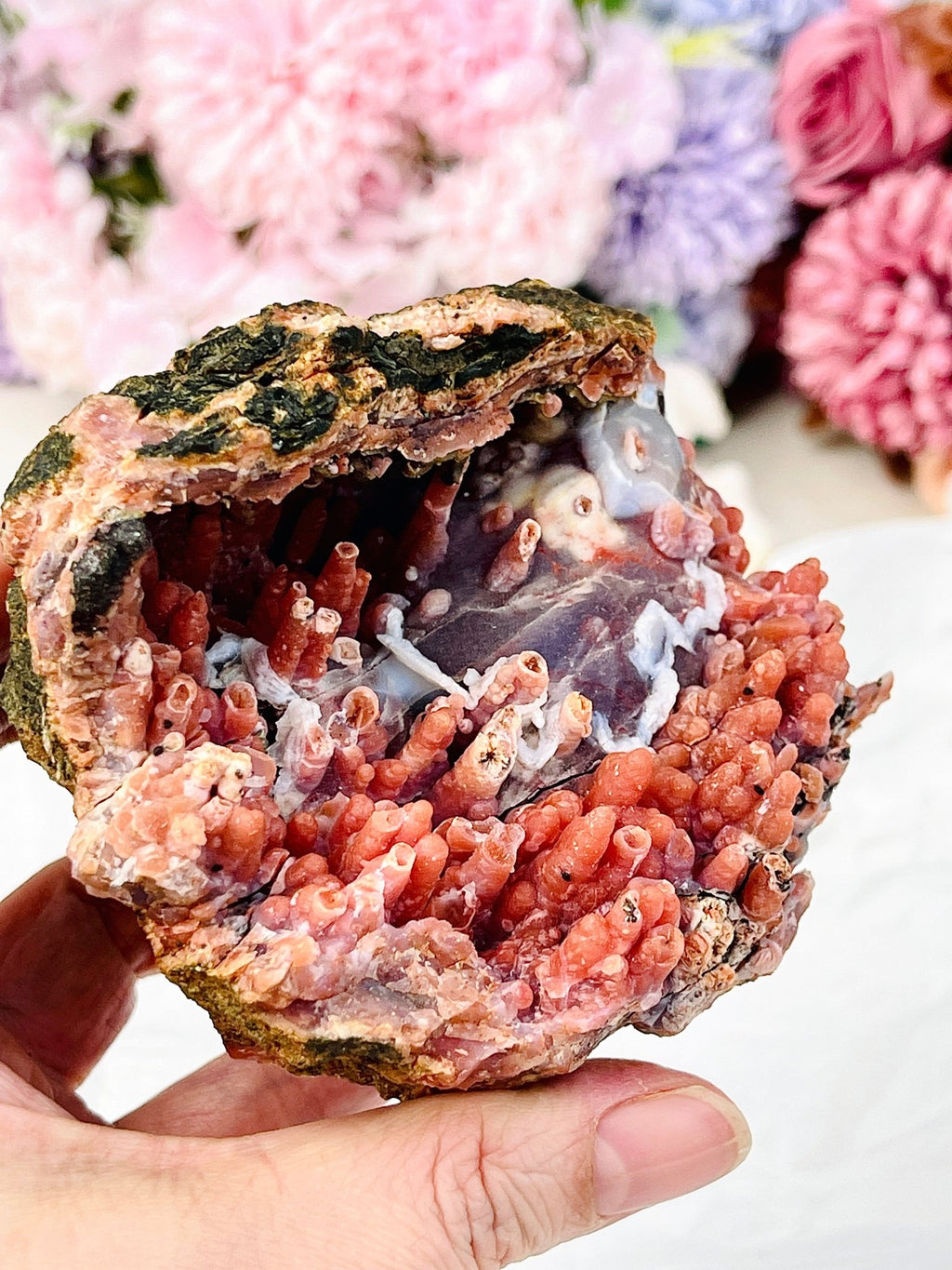 The "Forbidden Coral": Moroccan Red Chalcedony Geode - Million Years Crystal