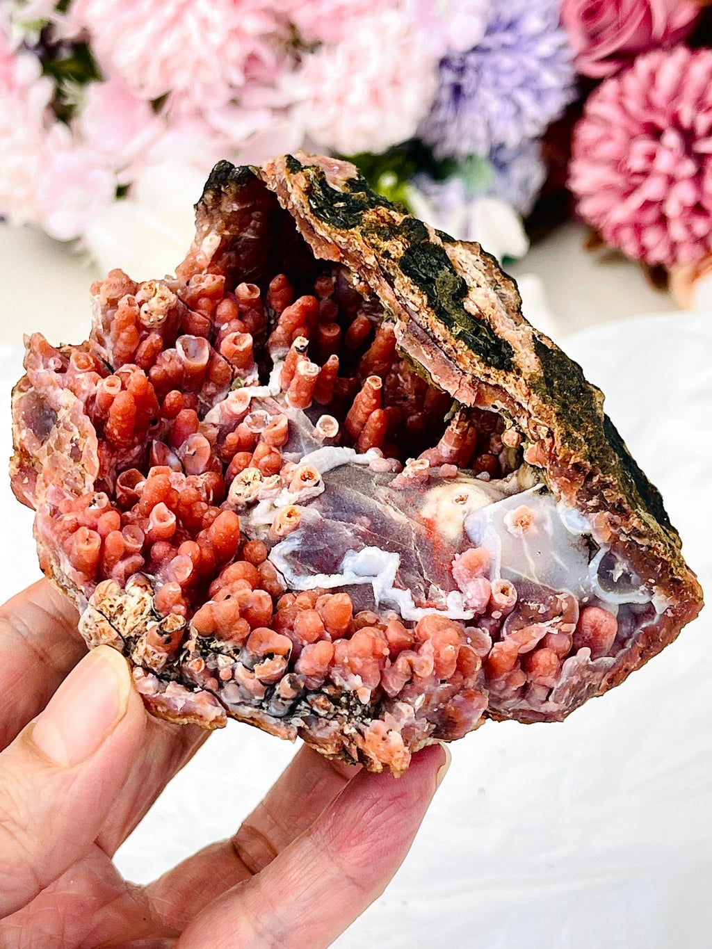 The "Forbidden Coral": Moroccan Red Chalcedony Geode - Million Years Crystal