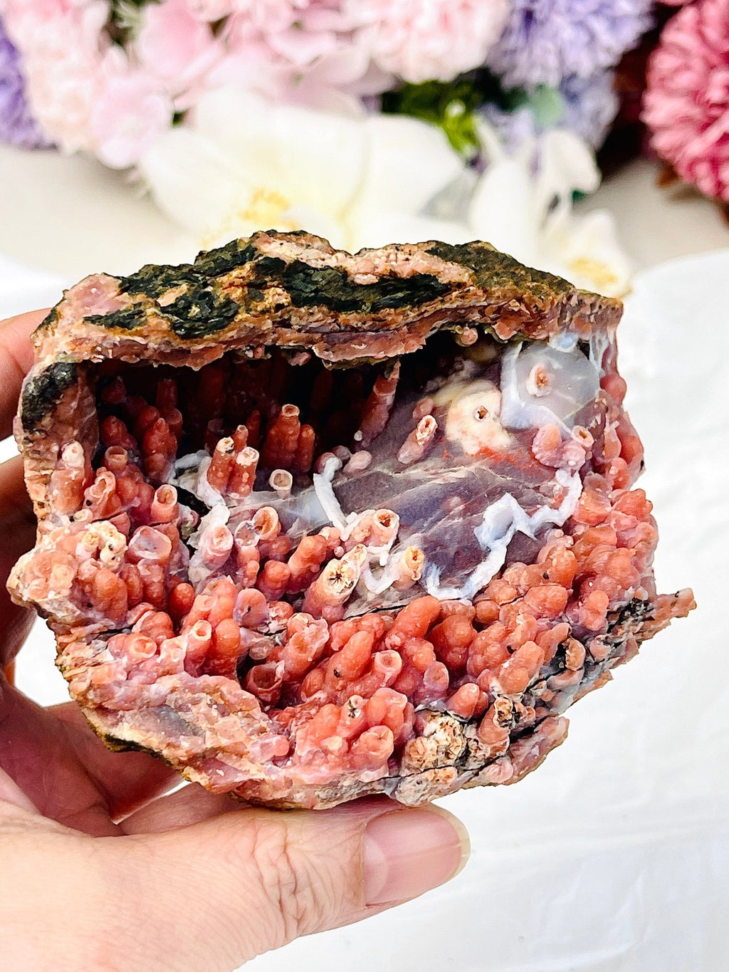The "Forbidden Coral": Moroccan Red Chalcedony Geode - Million Years Crystal