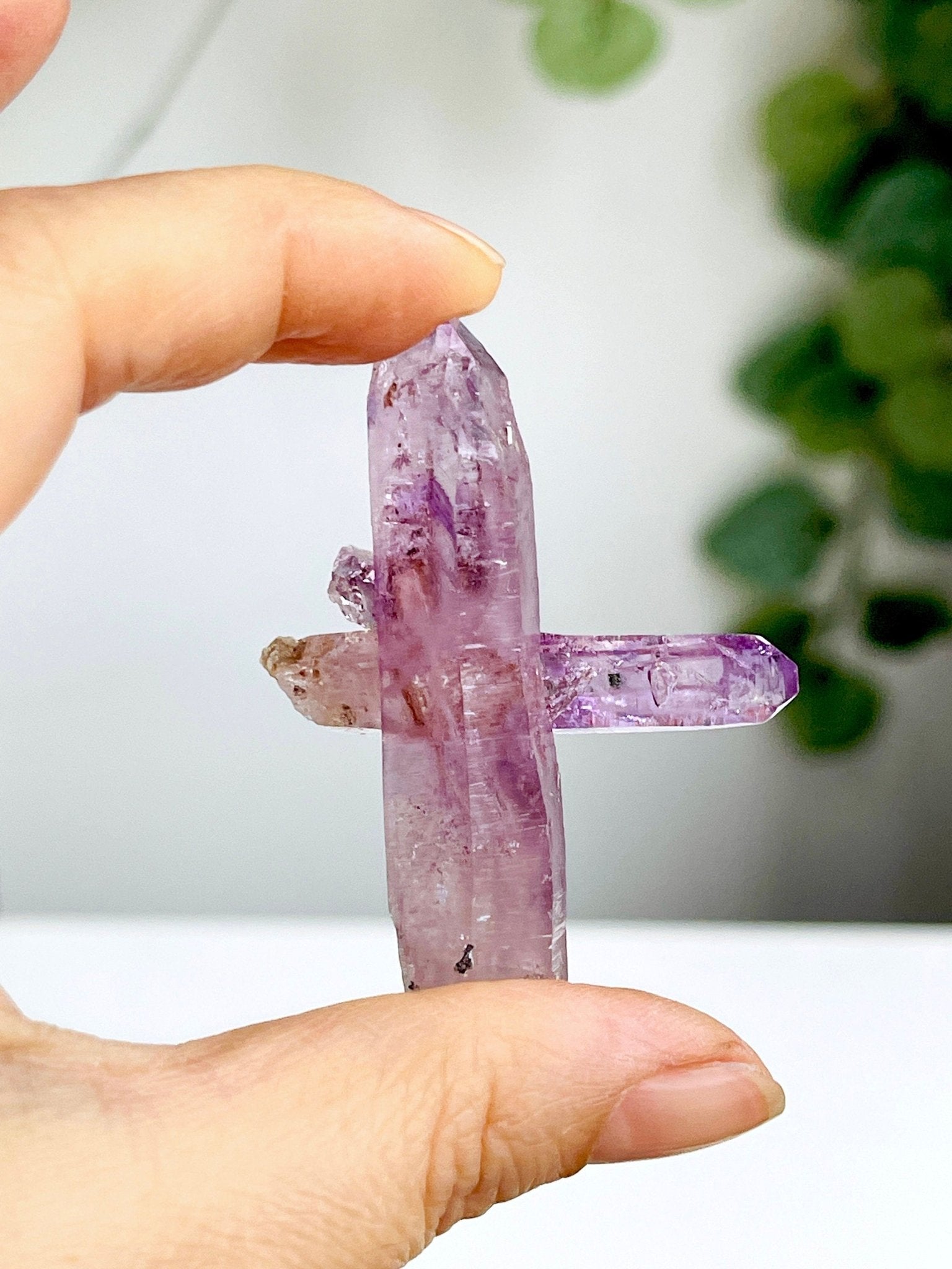 Vera Cruz Amethyst Cluster, High Quality Vera Cruz Amethyst Specimen, Vera Cruz Amethyst Point, Natural Vera Cruz Amethyst Crystal - Million Years Crystal